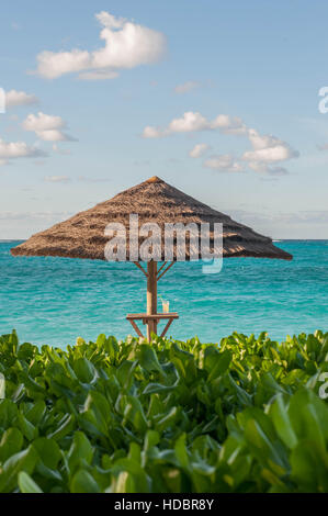 A bere sotto un ombrello con tetto in paglia in Turks & Caicos. Bella blu, turchese e acquamarina acqua / mare in Grace Bay con fogliame verde Foto Stock