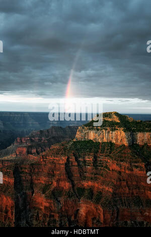 Prima luce e estate docce monsoon creare questo rainbow oltre il bordo settentrionale della Arizona Grand Canyon National Park. Foto Stock