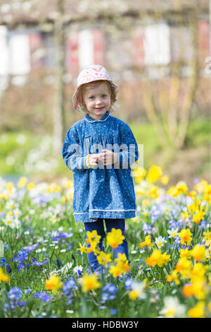 Bambina in piedi in un prato fiorito di narcisi, il lago di Costanza - Germania Foto Stock