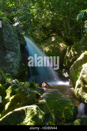 Cascata nella giungla, Nosy mangabe, orientale, Madagascar Madagascar Foto Stock