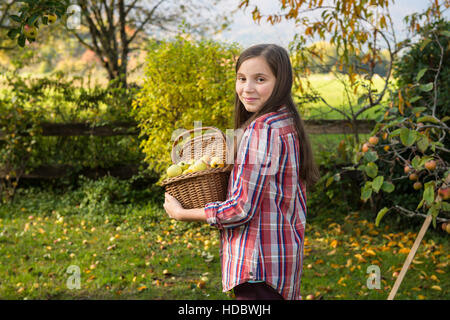 Giovani pre teen girl raccolta di mele in giardino Foto Stock