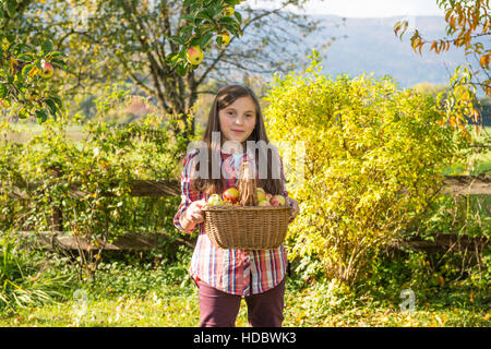 Giovani pre teen girl raccolta di mele in giardino Foto Stock