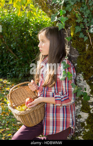 Giovani pre teen girl raccolta di mele in giardino Foto Stock