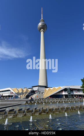 Fernsehturm, Panoramastrasse, nel quartiere Mitte di Berlino, Deutschland Foto Stock