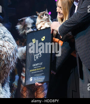 Scontroso gatto visite " Gatti " il musical con: scontroso gatto dove: New York New York, Stati Uniti quando: 30 Set 2016 Foto Stock