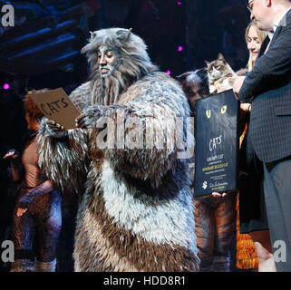Scontroso gatto visite " Gatti " il musical con: scontroso gatto dove: New York New York, Stati Uniti quando: 30 Set 2016 Foto Stock