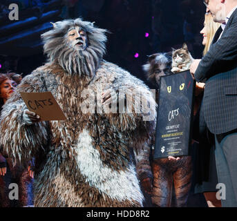 Scontroso gatto visite " Gatti " il musical con: scontroso gatto dove: New York New York, Stati Uniti quando: 30 Set 2016 Foto Stock