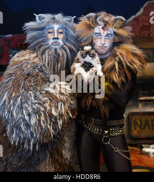 Scontroso gatto visite " Gatti " il musical con: scontroso gatto dove: New York New York, Stati Uniti quando: 30 Set 2016 Foto Stock