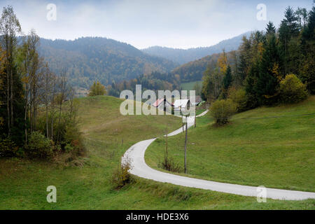 Strada conduce al villaggio di Lome e farm, Idria comune, Slovenia. Foto Stock