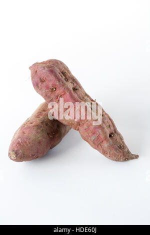 Ipomoea batatas. Due viola le patate dolci su uno sfondo bianco. Foto Stock