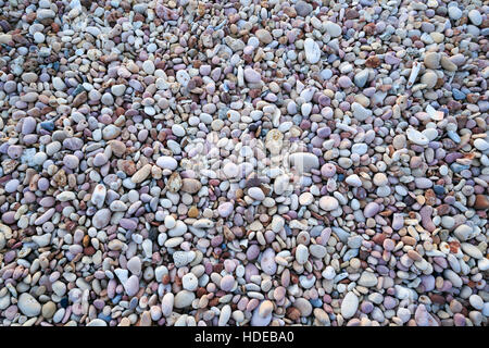 Ciottoli a Pebble Beach a Exmouth, Australia occidentale Foto Stock