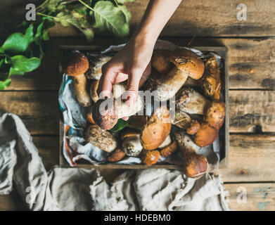 Funghi Porcini nel vassoio di legno e di una donna mano azienda fungo Foto Stock