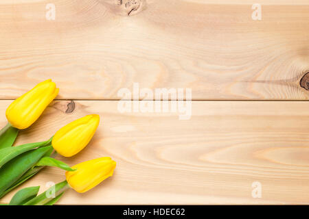 Vista da sopra tulipani gialli in un angolo di un background di festa Foto Stock
