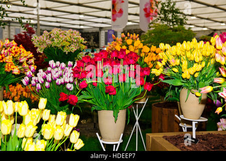 Chelsea Flower Show 2016,Bloms lampadine Holland,fiore,Scultura,Garden Design, esposizione,Cinque giorni dell'evento,London SW3,Gran Bretagna Foto Stock