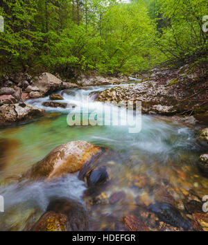 Il corso del fiume Krumme Steyrling nella primavera del tempo. Foto Stock