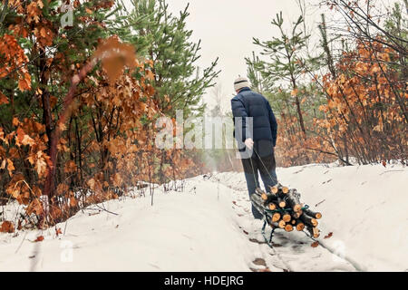 L'uomo porta legno su una slitta in inverno boschi innevati. Foto Stock