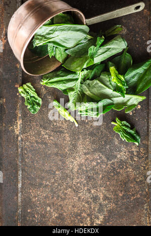 Gli spinaci in rame pt sul metallo verticale di sfondo Foto Stock