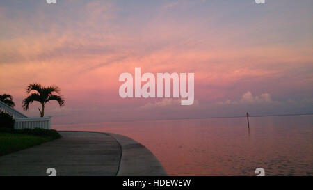 Guardando indietro su Tampa Bay al tramonto. Foto Stock