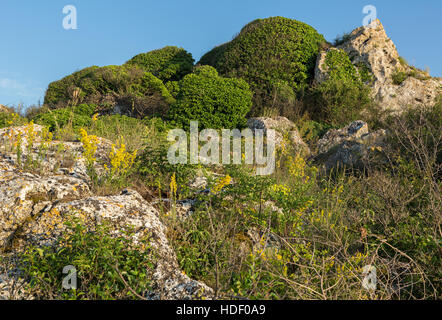 Regionale Karalar landscape park in Crimea. Foto Stock