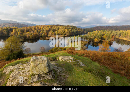 Punto di vista roccioso affacciato sul Tarn Hows nel distretto del lago in un pomeriggio autunnale in ottobre. Foto Stock