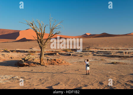 Turistica prendendo foto a scenic intrecciato di Acacia circondato da maestose dune di sabbia a Sossusvlei, Namib Desert, Namib Naukluft National Park, Namibi Foto Stock