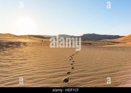 Passeggiate turistiche sulla Scenic dune di Sossusvlei, Namib Desert, Namib Naukluft National Park, Namibia. La luce del pomeriggio. Esplorazione e Avventura in Foto Stock