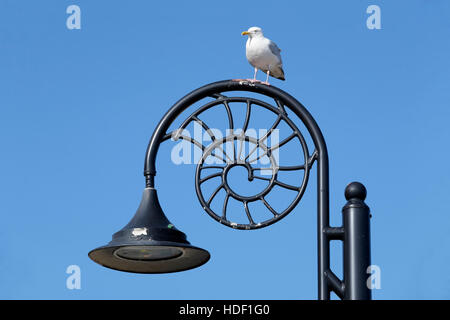 Aringa gabbiano appollaiato su un ammonita ispirato lampione, Lyme Regis, Dorset, England, Regno Unito Foto Stock