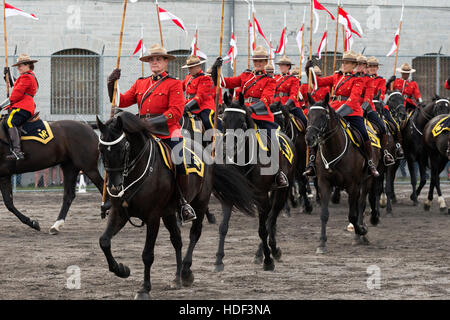 Royal Canadian montato a cavallo di polizia Ontario Canada Foto Stock