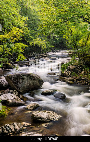 Polo Centrale piccolo fiume in Tremont area di Great Smoky Mountains. Foto Stock