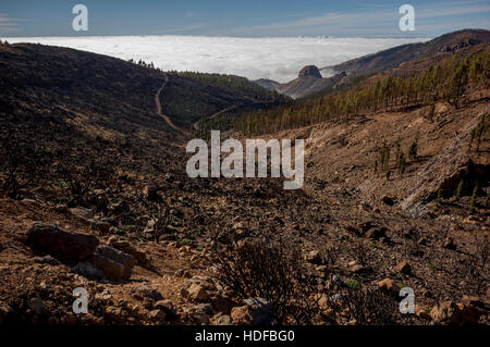 Ruvido paesaggio eroso del vulcano Teide alto sopra le nuvole Foto Stock