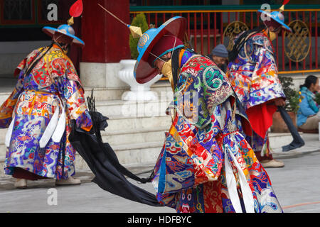 Il Cham danza eseguita dai monaci tibetani durante il Losar (tibetano Nuovo Anno) in Druk Sangag Choling monastero vicino a Darjeeling, India Foto Stock