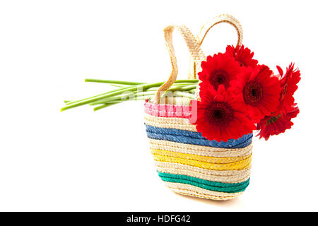Mazzetto di rosso gerbera in shopping bag isolato su bianco Foto Stock
