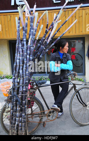 Fornitori su biciclette spesso vendono generi alimentari come la canna da zucchero lungo la carreggiata in Yangshuo Guilin Cina. Foto Stock