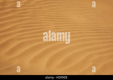 Outdoor sabbia asciutta e dune di pattern in oman vecchio più grande deserto Rub al Khali Foto Stock