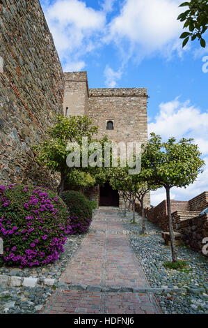 Torri di Alcazaba con alberi di arancio e fiori vicino Castello di Gibralfaro - Malaga in Andalusia, Spagna Foto Stock