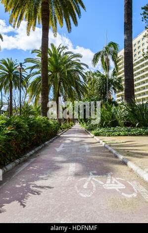 Pista ciclabile per ciclo tra le palme sotto il cielo blu a Malaga, Spagna Foto Stock