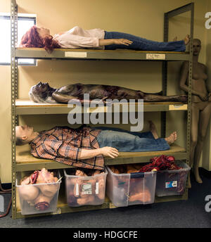 Los Angeles, California, USA. 12 Dic, 2016. Dapper cadavere, un puntello house e custom prop negozio di fabbricazione, ha fornito scientifico, medico e macabro elementi all'industria di intrattenimento dal 2006. Tra le migliaia di film e produzioni tv di utilizzare i loro puntelli sono ossa, Dexter, Law & Order e Nightmare on Elm Street. E hanno fatto tappa e riprese video puntelli per musicisti di Alice Cooper, Slipknot, Kesha, Kanye West, Marilyn Manson e molti altri. Situato vicino all'Aeroporto Bob Hope di Burbank, Dapper cadavere è anche aperto al pubblico per la vendita e affitto.(Immagine di credito: © Brian Foto Stock