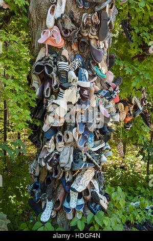 Un tronco di albero coperto da diversi tipi e dimensioni di scarpe vicino Awenda Parco Provinciale, Ontario, Canada. Foto Stock