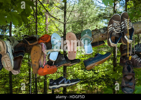 Un ramo di un albero coperto da diversi tipi e dimensioni di scarpe vicino Awenda Parco Provinciale, Ontario, Canada. Foto Stock