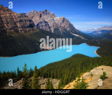 Il Lago Peyto, Banff Foto Stock