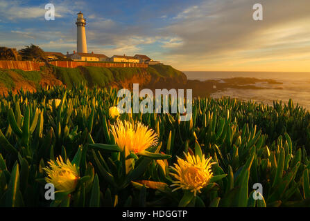 Pigeon Point Lighthouse in autostrada 1 Foto Stock