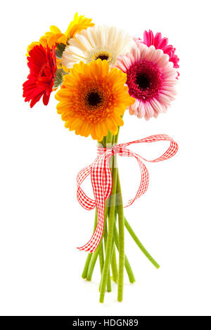 Bouquet con diversi tipi di colorate gerbera isolato su bianco Foto Stock