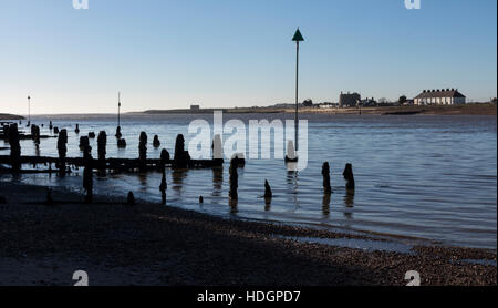 Molto legno decaduto pennelli in esecuzione da una spiaggia di ciottoli in un estuario Foto Stock