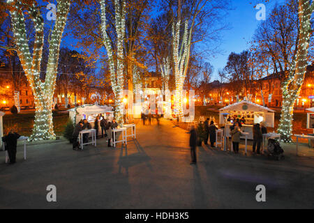 Alberi illuminati su parco Zrinjevac nel tempo di natale nella città di Zagabria Foto Stock