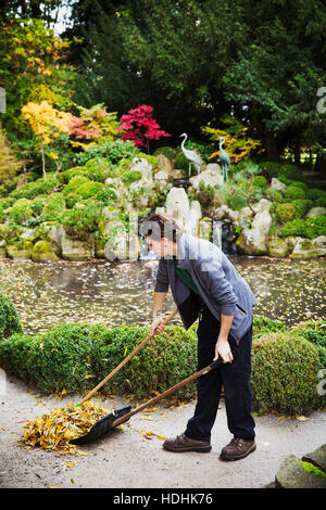 Un uomo a rastrellare foglie su un percorso in autunno Foto Stock