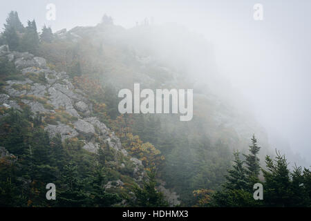 Vertice roccioso nella nebbia, al nonno di montagna, North Carolina. Foto Stock