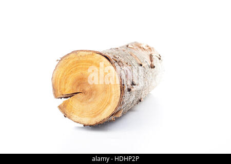 I registri di pino su sfondo bianco. studio foto. spaccare la legna. albero di quercia per il periodo invernale riscaldamento. Sezione di tronco di albero.legna da ardere Foto Stock