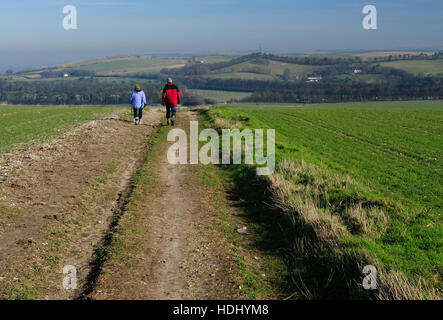 Walkers a seguito di una bridleway tra campi attraverso Liddington Hill. Foto Stock