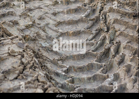 Tracce di pneumatici sulla terra. impressum ruote vettura Foto Stock