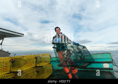 Sternman su lobster boat pile trappole Yarmouth Foto Stock